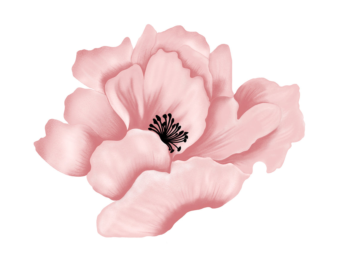 Wall sticker Fiore rosa - modello 2