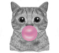 Wall sticker Cat babol